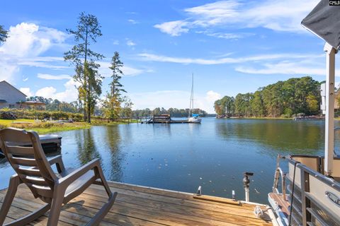 A home in Chapin