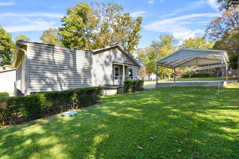 A home in Chapin