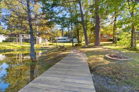 A home in Chapin