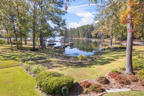 A home in Chapin