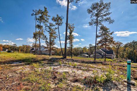 183 Coopers Nursery Rd Elgin SC 29045