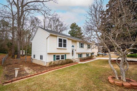 Photo of 1323 Riverwalk Way, Irmo, SC 29063 (MLS # 626094)