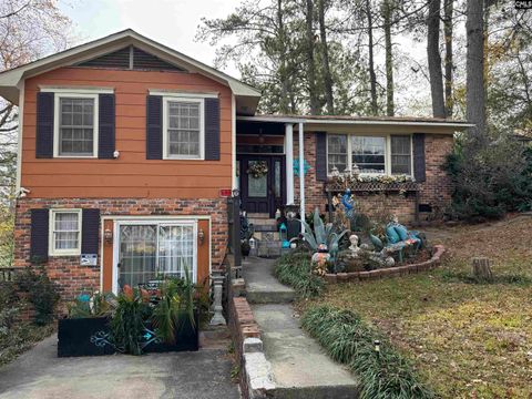 Photo of 7348 Parkview Drive, Columbia, SC 29223 (MLS # 623466)