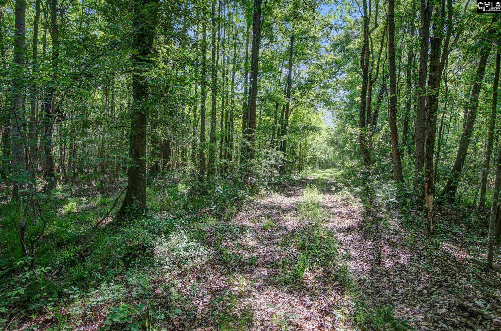 TBD New Meadow Drive