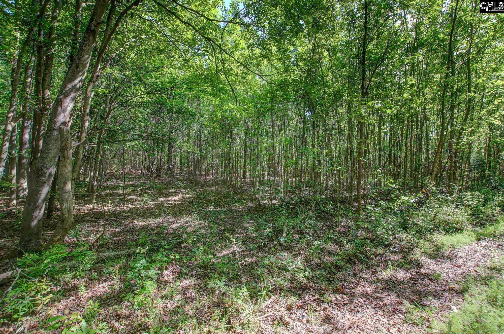 TBD New Meadow Drive