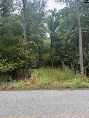 NEWBERRY SHORES DR, PROSPERITY, SC 29127 - Image c845b13b4fabf99c628bd642b17de9dc/2908425299