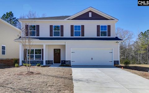 Photo of 251 Boseman Road, Irmo, SC 29063 (MLS # 620655)