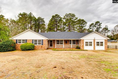 Photo of 314 Cool Springs Drive, Camden, SC 29020 (MLS # 627946)