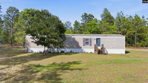 Photo of 1729 Windy Wood Road, Pelion, SC 29123 (MLS # 633847)
