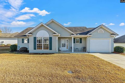 A home in Chapin