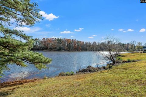 A home in Chapin