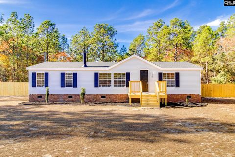 Photo of 130 Alpine Road, Swansea, SC 29160 (MLS # 622055)