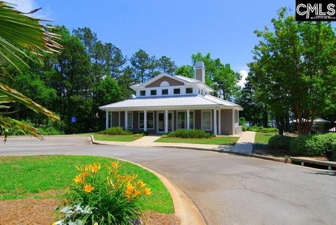 A home in Chapin