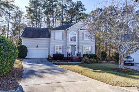 Photo of 135 Chestnut Woods Lane, Columbia, SC 29212 (MLS # 623185)