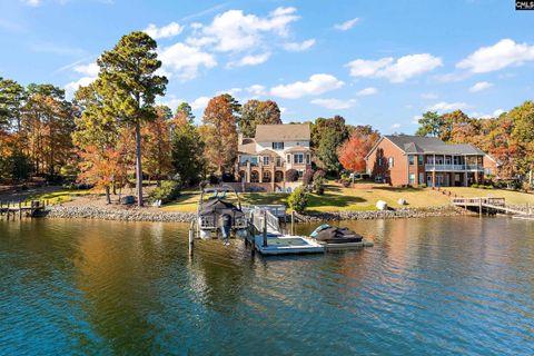 A home in Chapin