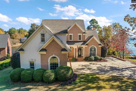 A home in Chapin