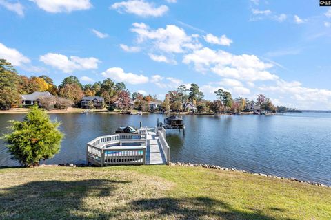 A home in Chapin