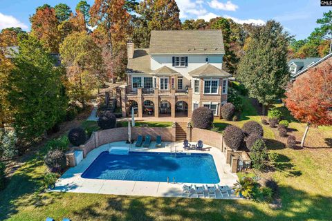 A home in Chapin