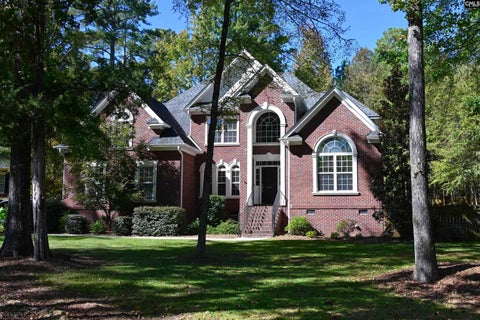 Photo of 435 Ashwood Hill Drive, Chapin, SC 29036 (MLS # 645954)