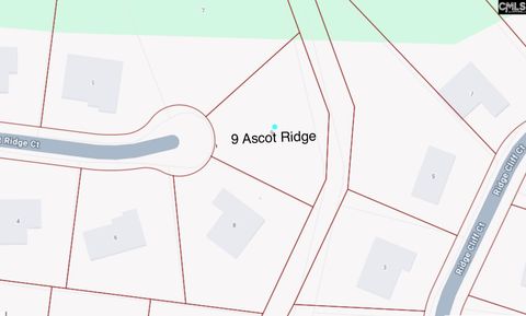 9 Ascot Ridge Ct Irmo SC 29063
