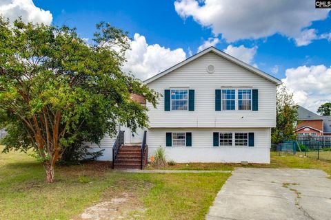 Photo of 11 Clearwell Court, Columbia, SC 29229 (MLS # 621013)