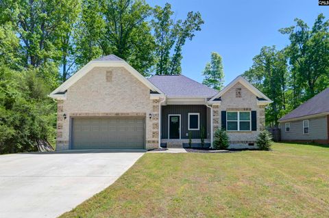 Single Family Residence in Chapin SC 117 Newberry Drive.jpg