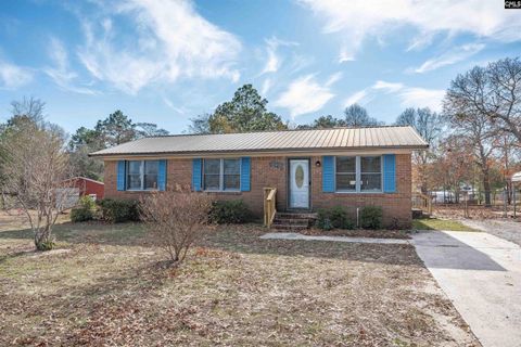 Photo of 257 Sandy Springs Lane, Lexington, SC 29073 (MLS # 623226)