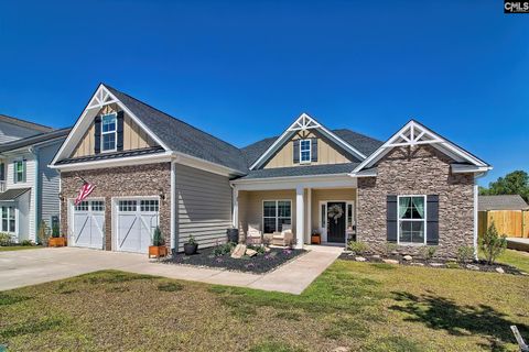 Property photo of 1420 Saugus Court, Chapin, SC 29036