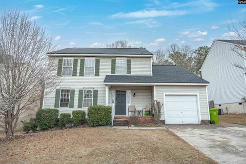 Photo of 321 Concord Place Road, Irmo, SC 29063 (MLS # 625679)