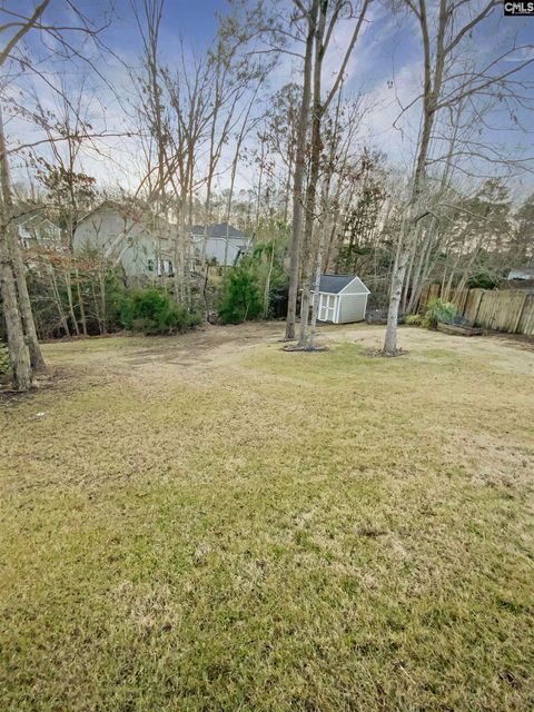 A home in Chapin