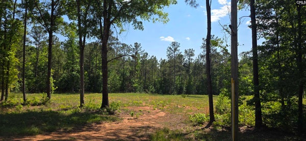 TRADE MILL RD, WINNSBORO, SC 29180 - Image cd8ee650c265b0eb7332ec71847cde60/3462164875