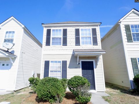 Photo of 515 Summit Terrace Ct CT, Columbia, SC 29229 (MLS # 636694)