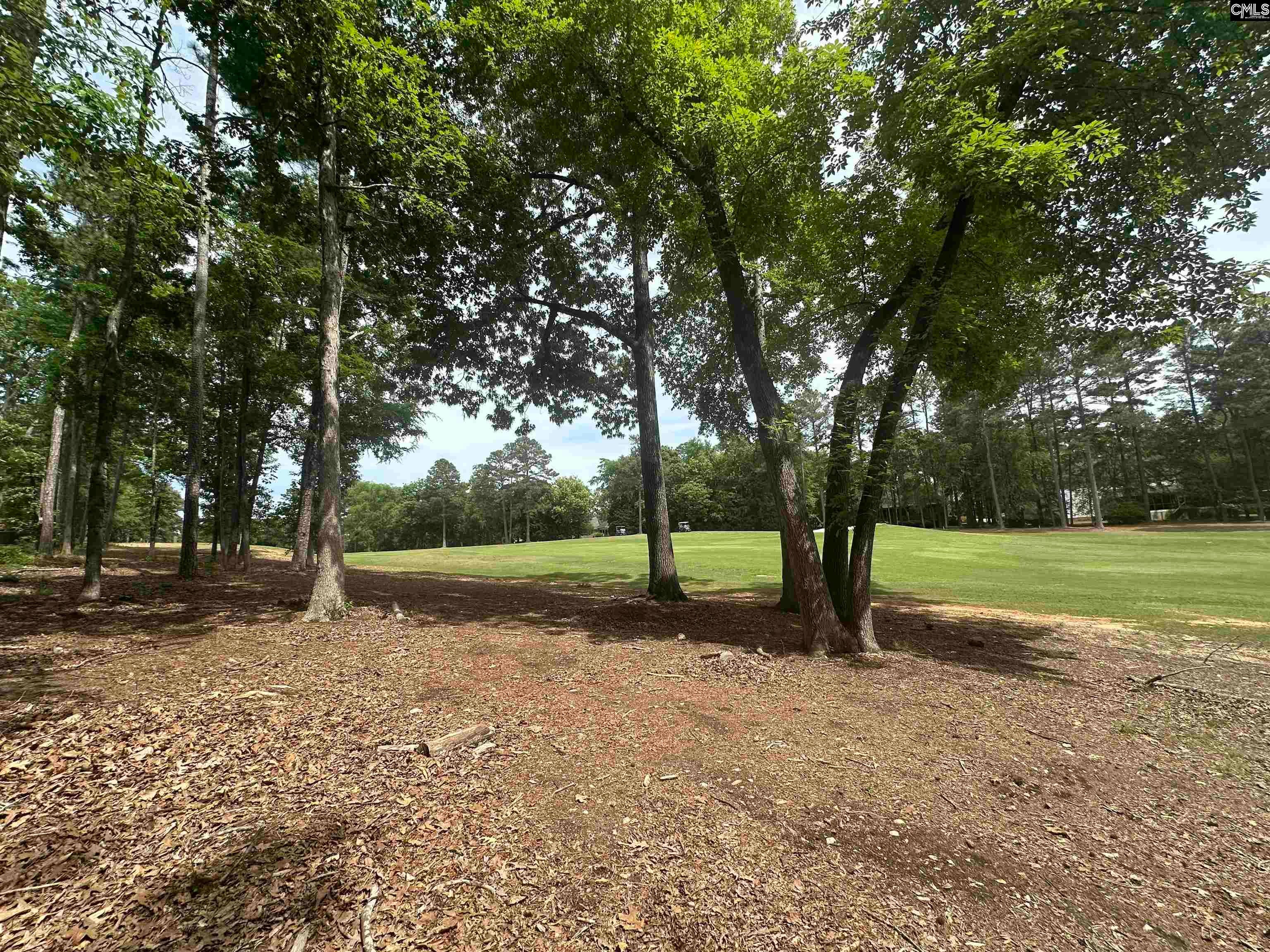 537 Misty Banks Drive
