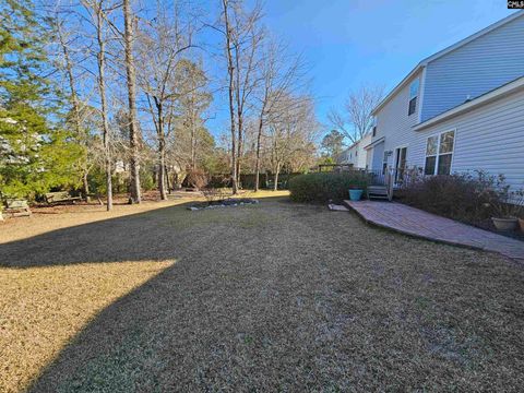 A home in Chapin