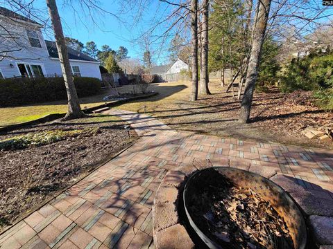 A home in Chapin