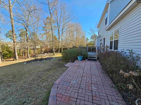 A home in Chapin