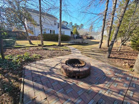 A home in Chapin