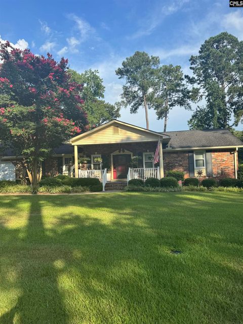 Photo of 326 Townes Rd Rd, Columbia, SC 29210 (MLS # 633151)