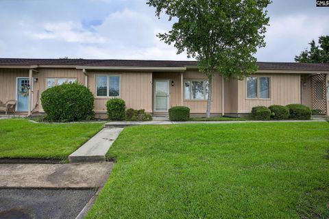 Photo of 43 Boardwalk Lane, Lexington, SC 29072 (MLS # 624561)