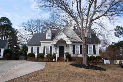Photo of 328 Bagford Court, Lexington, SC 29072 (MLS # 630293)