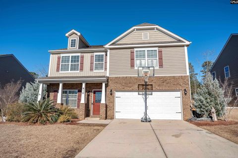 Photo of 818 Sunseeker Drive, Chapin, SC 29036 (MLS # 625861)