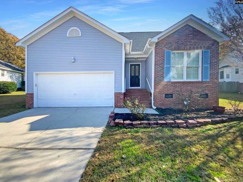 Photo of 102 Brassfield Court, Irmo, SC 29063 (MLS # 621632)