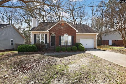 Photo of 203 Caddis Creek Road, Irmo, SC 29063 (MLS # 629374)