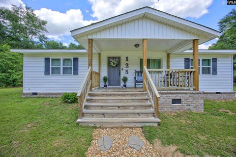 Photo of 125 Patricia Avenue, Pelion, SC 29123 (MLS # 636905)