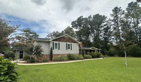 Photo of 124 Shannon Drive, Swansea, SC 29160 (MLS # 624332)