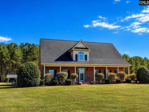 Photo of 142 Sturkie Street, Cope, SC 29038 (MLS # 621453)