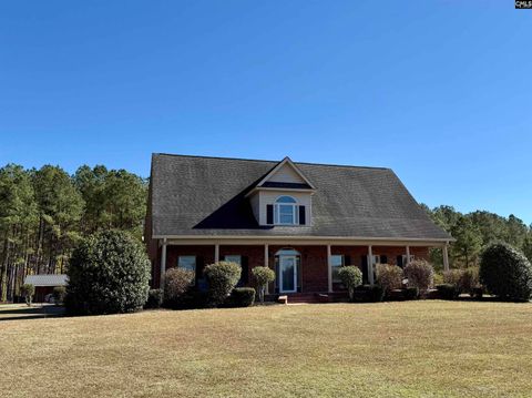 Photo of 142 Sturkie Street, Cope, SC 29038 (MLS # 621453)