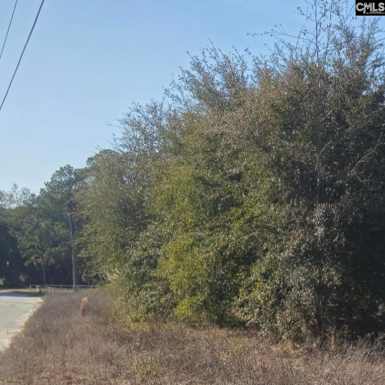 37 Levant Byas Road, Saint Helena Island, SC, 29920