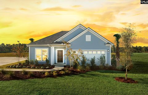 Photo of 105 Monroe Preserve Drive, Chapin, SC 29036 (MLS # 614939)