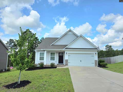 Photo of 538 Sasanqua Lane, Lexington, SC 29073 (MLS # 638662)